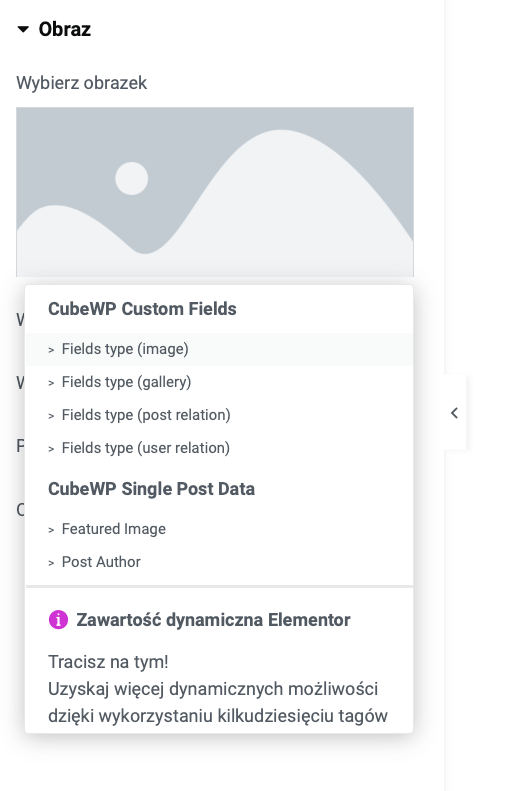 Widok dynamicznych tagów w darmowym Elementarze dla widgetu obrazka z zainstalowaną wtyczką CubeWP.